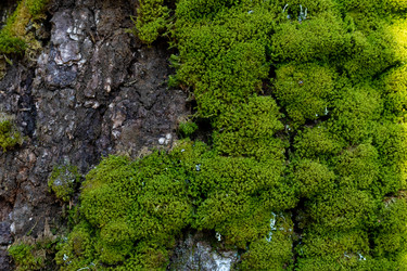 Similar image 21107628