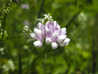 Similar image 21094285