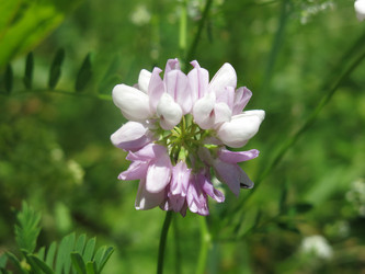 Similar image 21094286