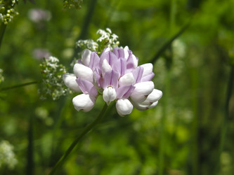 Similar image 21094287