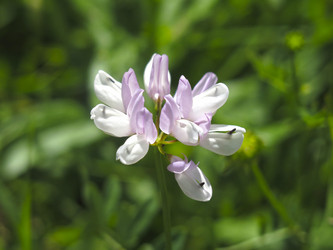 Similar image 21094288