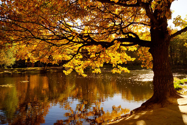 Similar image 21094360