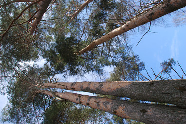 Similar image 21111135