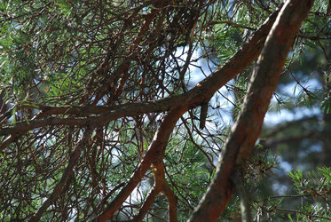 Similar image 21111136