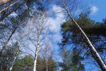 Similar image 21111137