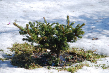 Similar image 21113248