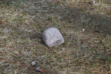 Similar image 21113249