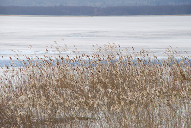 Similar image 21113251