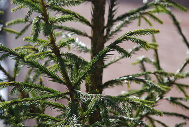 Similar image 21113252