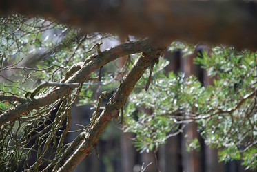 Similar image 21113254