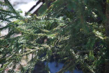 Similar image 21113256