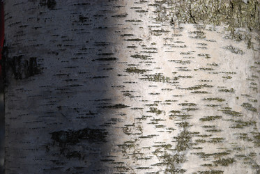 Similar image 21113257