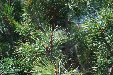 Similar image 21113258