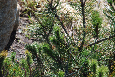 Similar image 21113260