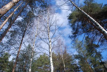 Similar image 21113261