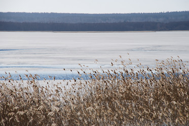 Similar image 21113262