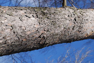 Similar image 21113263