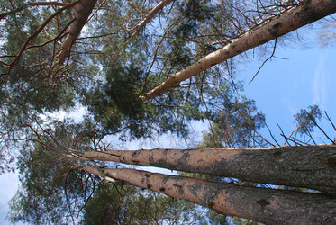 Similar image 21113267