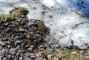 Similar image 21113269