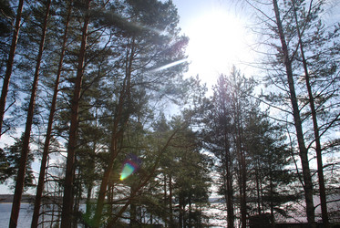 Similar image 21113272