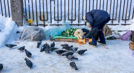 Similar image 21107498