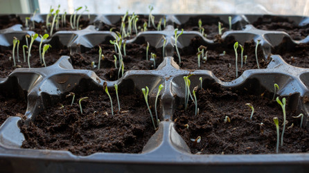 Similar image 21107508