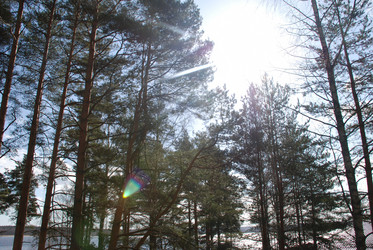 Similar image 21111139