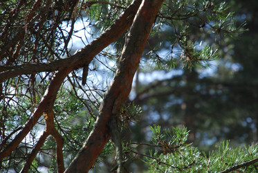 Similar image 21111140