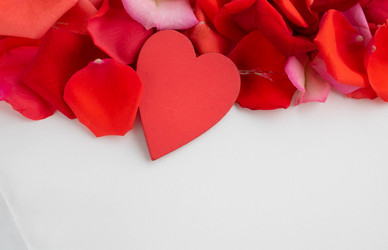 Similar image 21107693