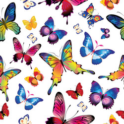 Similar image 21102812