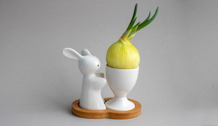 Similar image 21107537