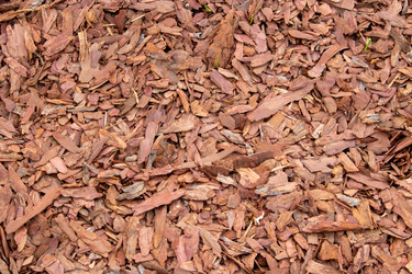 Similar image 21107700