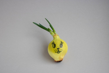 Similar image 21107701