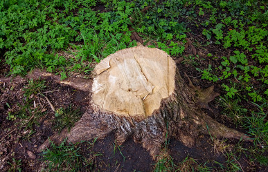 Similar image 21107712