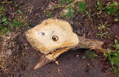 Similar image 21107713