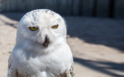 Similar image 21099230