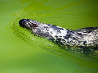 Similar image 21099236