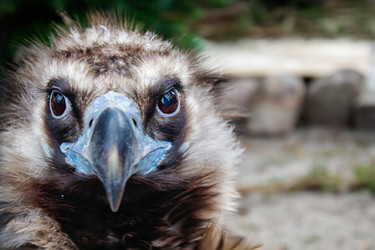 Similar image 21099251