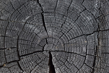 Similar image 21104532