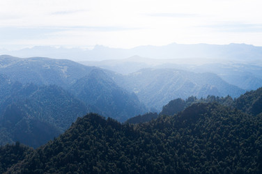 Similar image 21104535