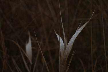 Similar image 21104548