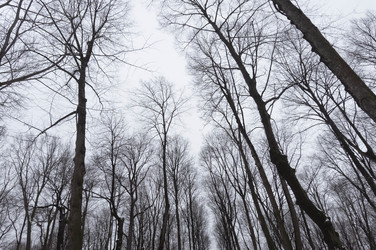 Similar image 21104556