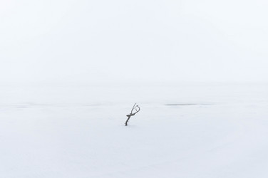 Similar image 21104557