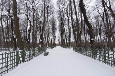 Similar image 21104560