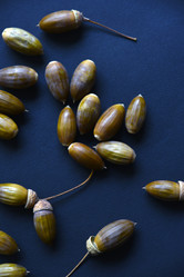 Similar image 21105149