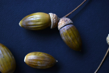 Similar image 21105194