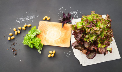 Similar image 21094739