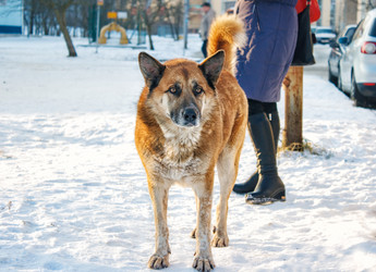 Similar image 21100552