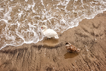 Similar image 21100566