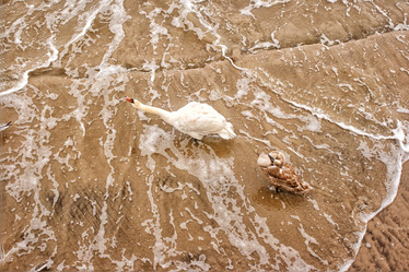 Similar image 21100568